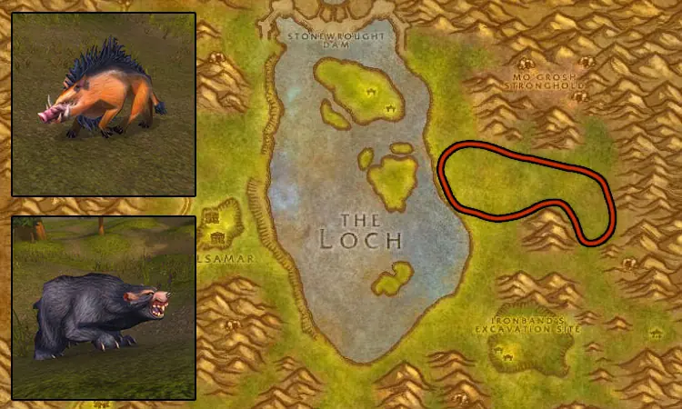 Skinning spot in Loch Modan