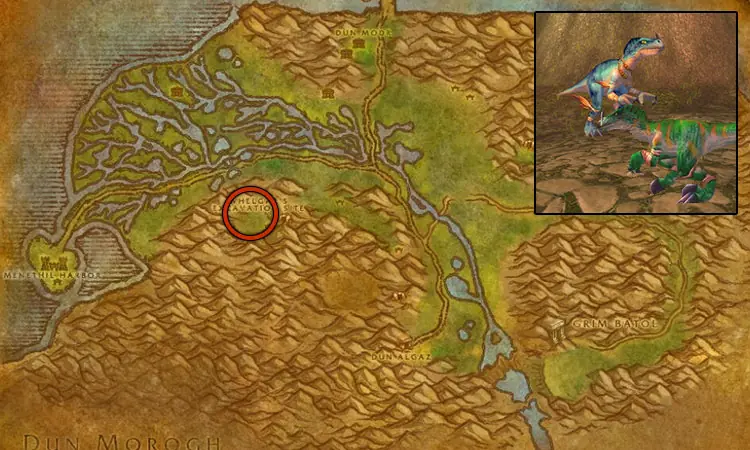 Whelgar's Excavation Site in the Wetlands
