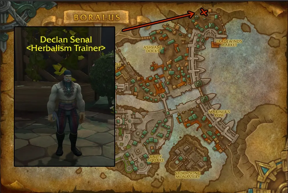 Declan Senal, the Alliance Herbalism trainer in Boralus