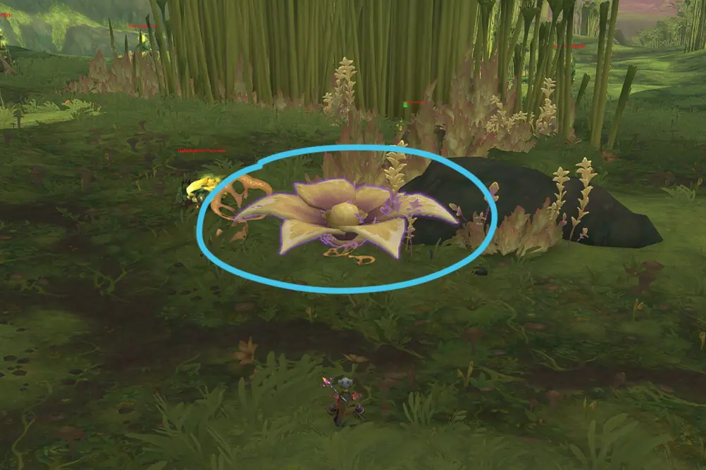 Bloomed Bud