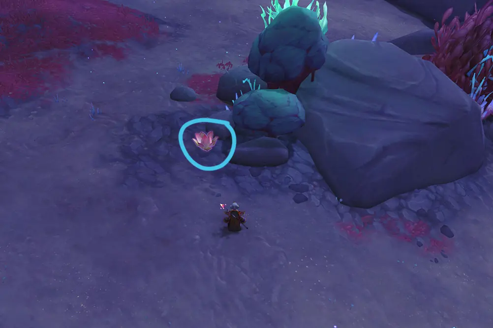 Peculiar Lotus