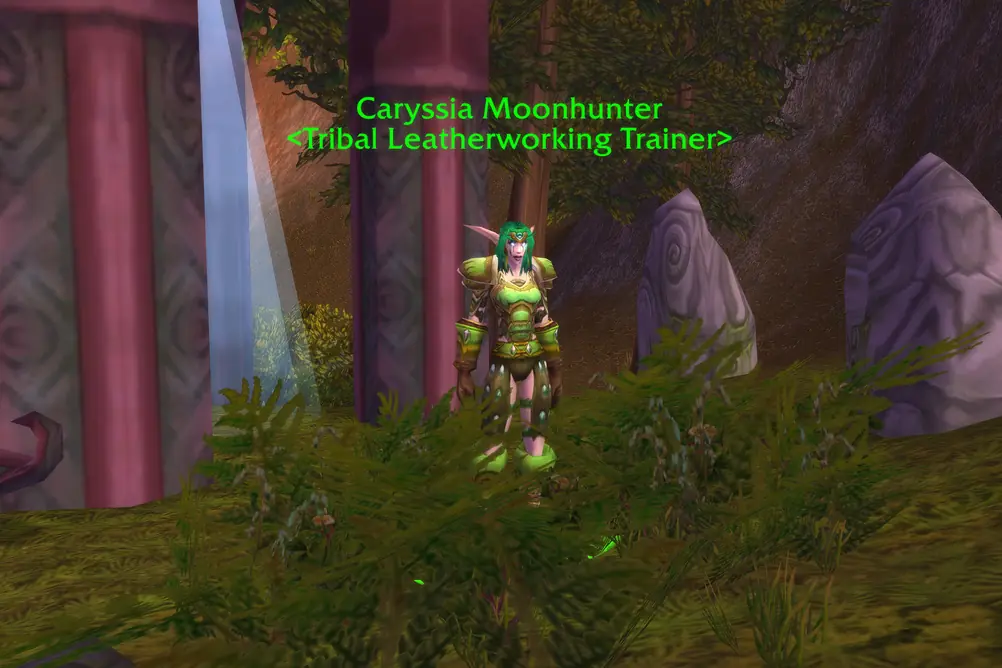Caryssia Moonhunter, Tribal Leatherworking Trainer in Feralas (WoW Classic)