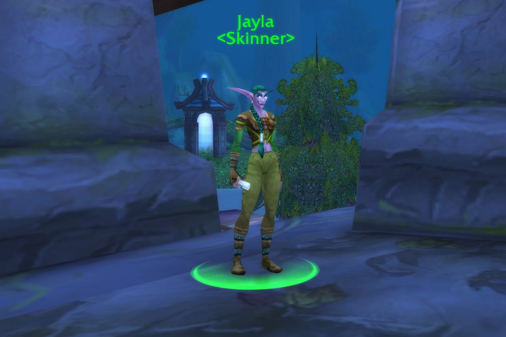 Jayla, Skinner in Ashenvale (WoW Classic)