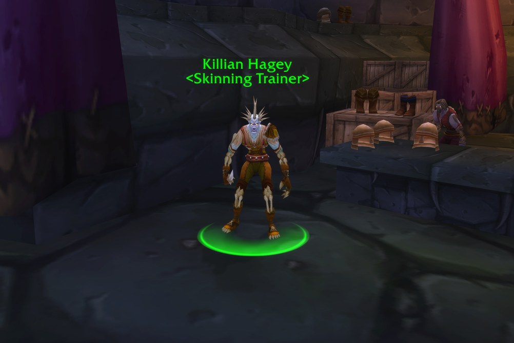 Killian Hagey, Skinning Trainer in Undercity (WoW Classic)