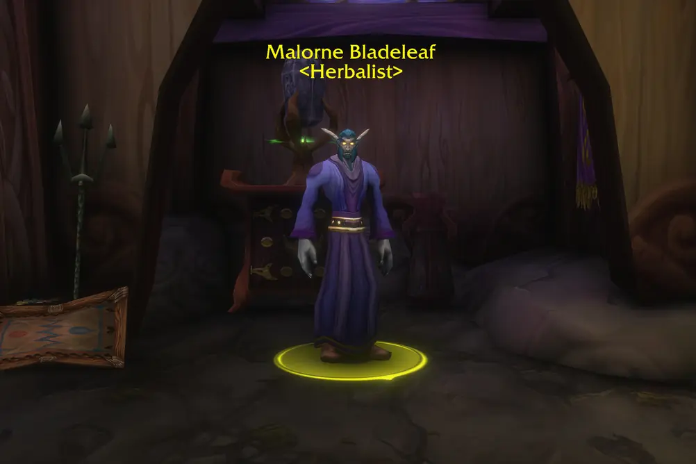 Malorne Bladeleaf, Herbalist in Teldrassil (WoW Classic)