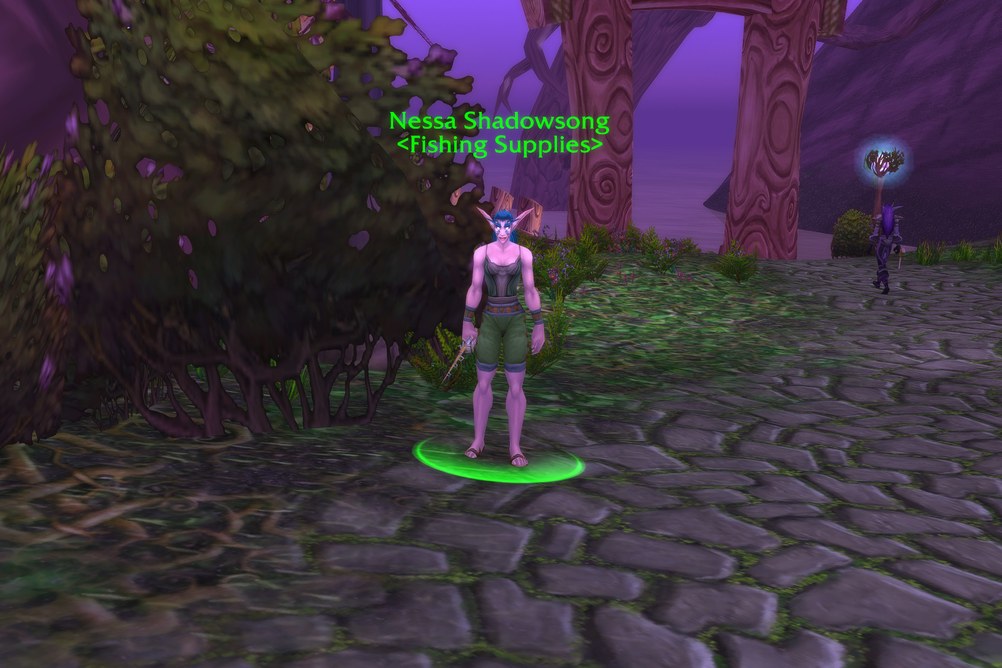 Nessa Shadowsong, Fishing Supplies in Teldrassil (WoW Classic)
