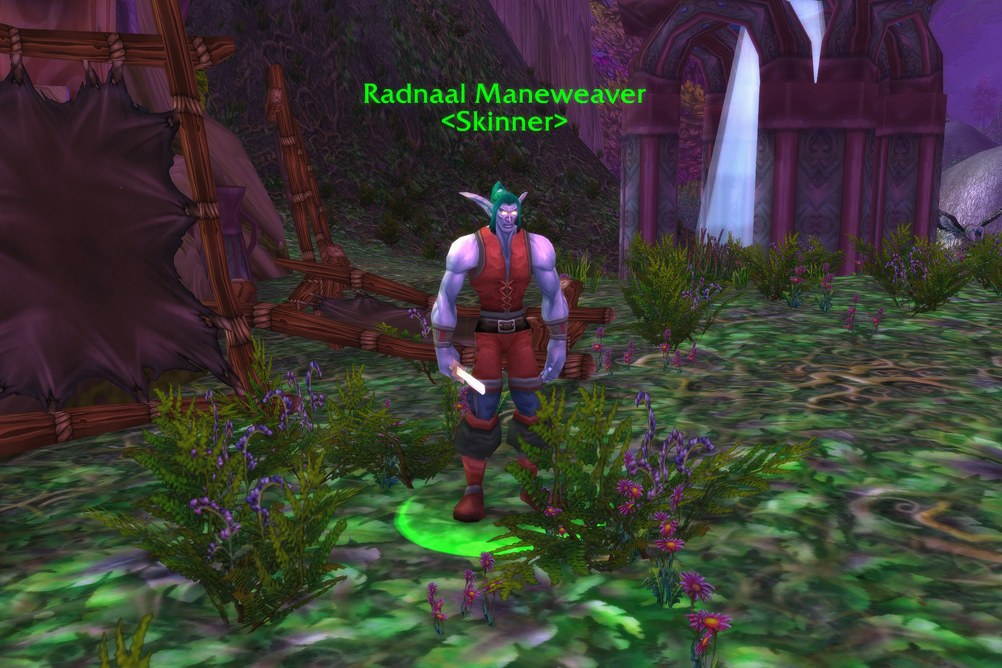 Radnaal Maneweaver, Skinner in Teldrassil (WoW Classic)