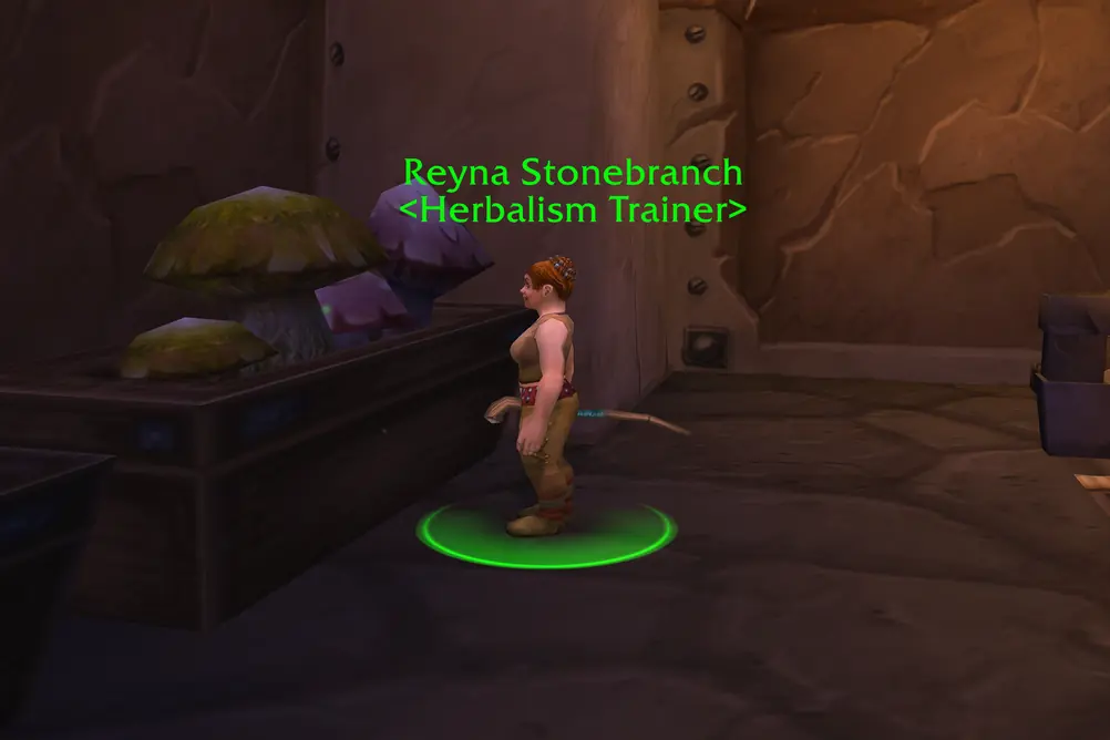 Reyna Stonebranch, Herbalism Trainer in Ironforge (WoW Classic)