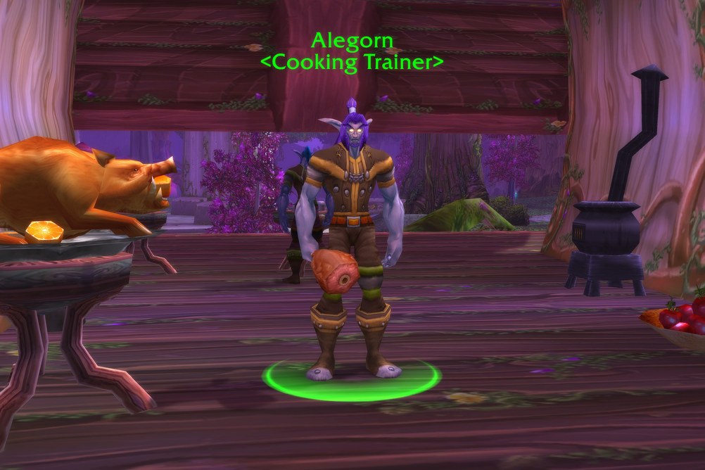 Alegorn, Cooking Trainer in Darnassus (WoW Forever)