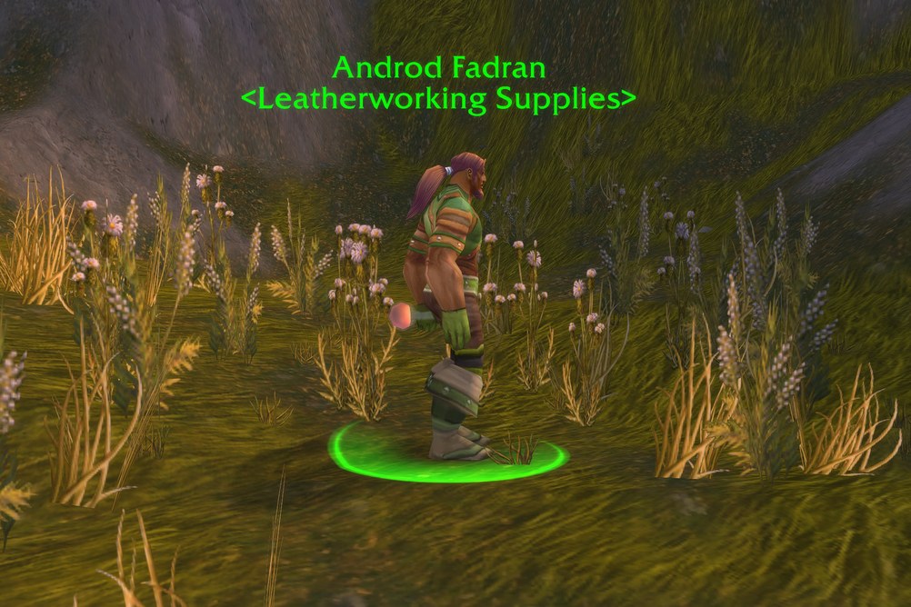 Androd Fadran, Leatherworking Supplies in Arathi Highlands (WoW Forever)