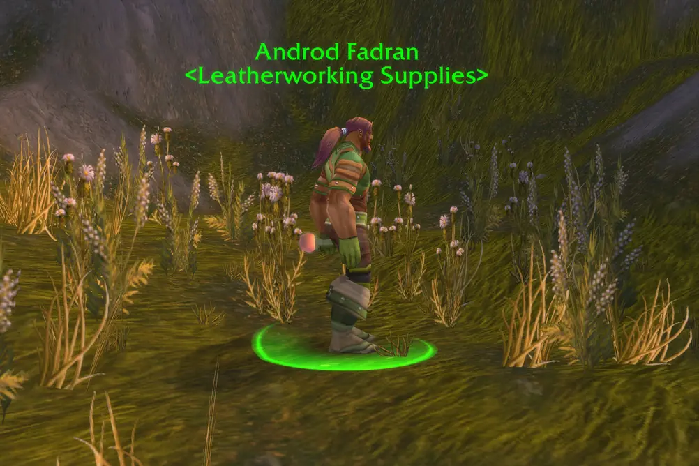 Androd Fadran, Leatherworking Supplies in Arathi Highlands (WoW Forever)