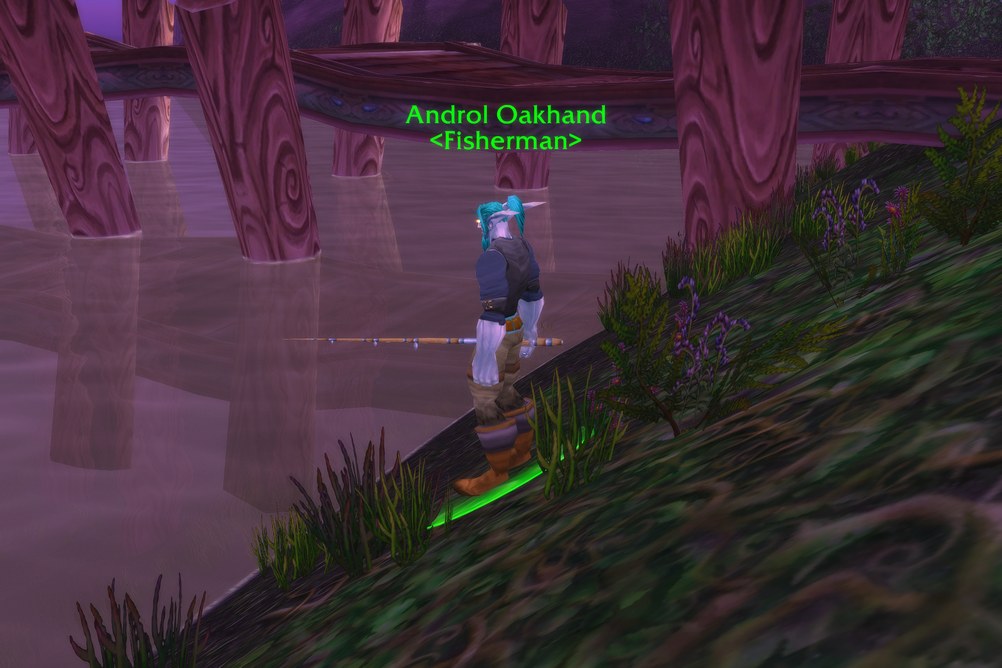 Androl Oakhand, Fisherman in Teldrassil (WoW Forever)