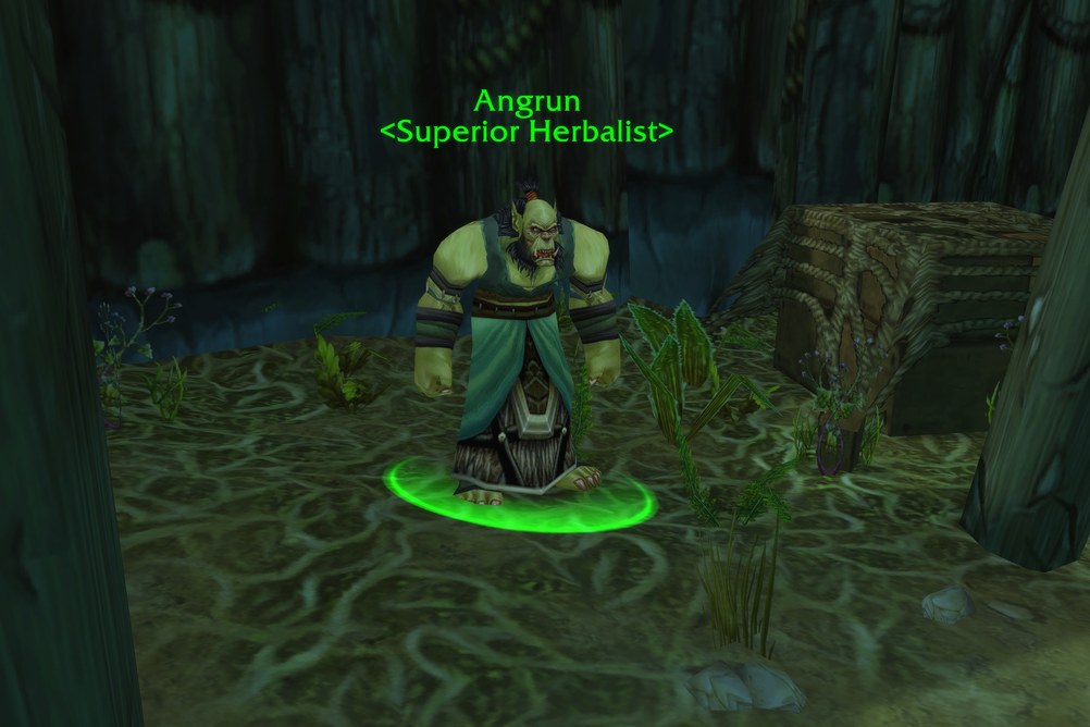 Angrun, Superior Herbalist in Stranglethorn Vale (WoW Forever)