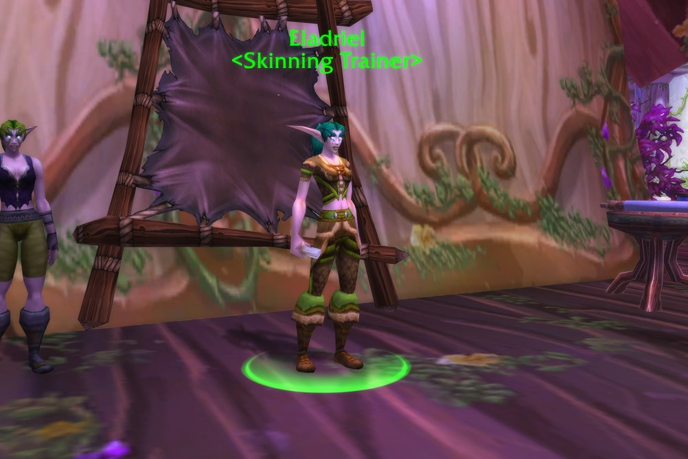 Eladriel, Skinning Trainer in Darnassus (WoW Forever)