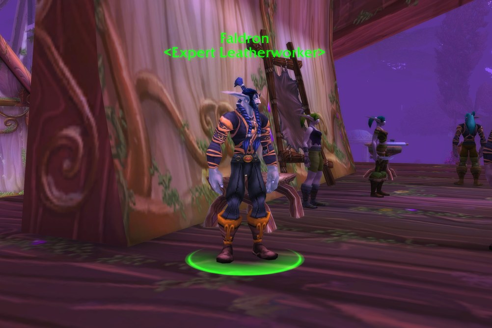 Faldron, Expert Leatherworker in Darnassus (WoW Forever)