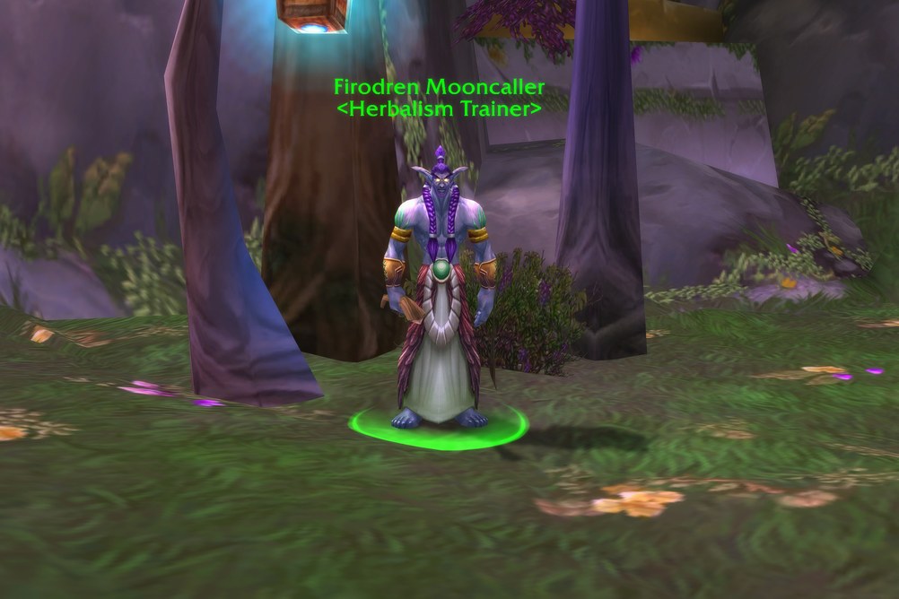 Firodren Mooncaller, Herbalism Trainer in Darnassus (WoW Forever)