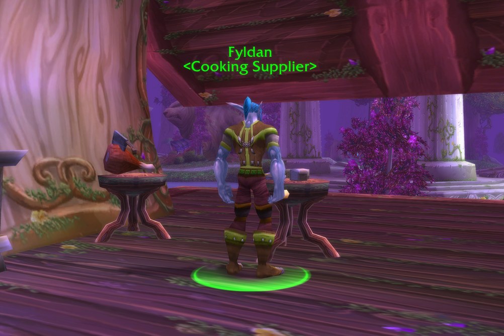 Fyldan, Cooking Supplier in Darnassus (WoW Forever)