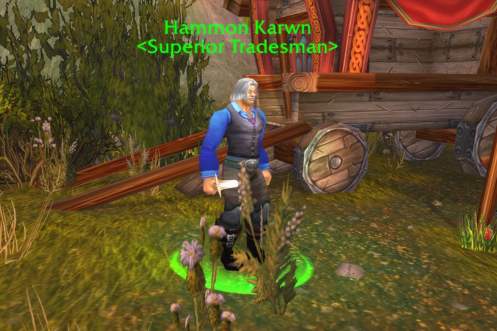 Hammon Karwn, Superior Tradesman in Arathi Highlands (WoW Forever)
