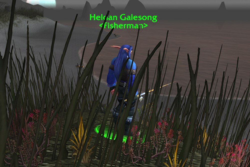Heldan Galesong, Fisherman in Darkshore (WoW Forever)