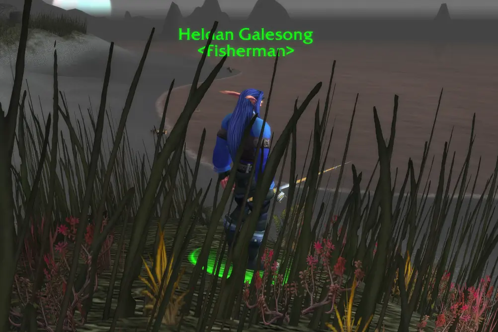 Heldan Galesong, Fisherman in Darkshore (WoW Forever)