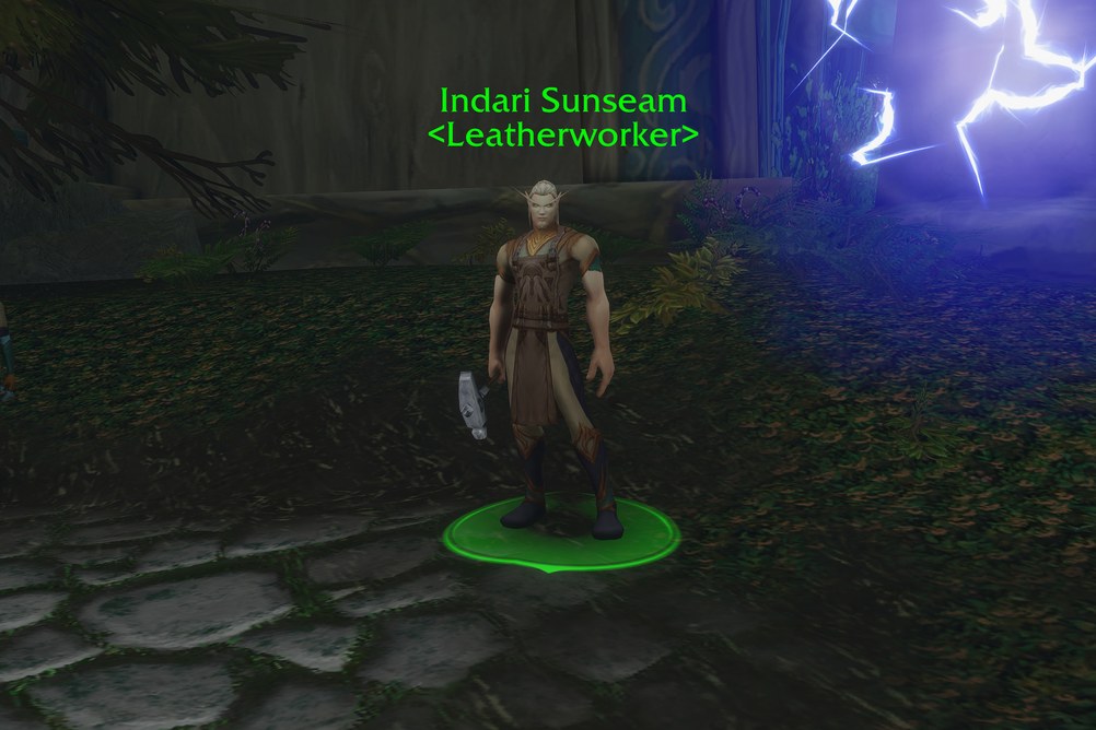 Indari Sunseam, Leatherworker in Zephras Isle (WoW Forever)