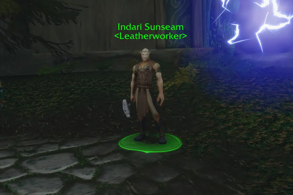 Indari Sunseam, Leatherworker in Zephras Isle (WoW Forever)