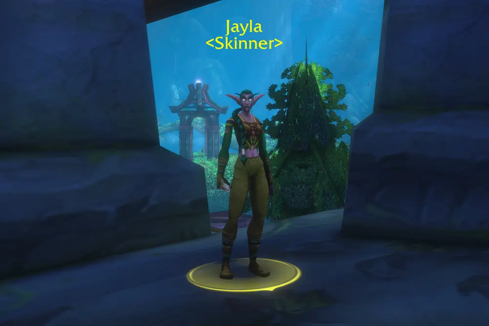Jayla, Skinner in Ashenvale (WoW Forever)
