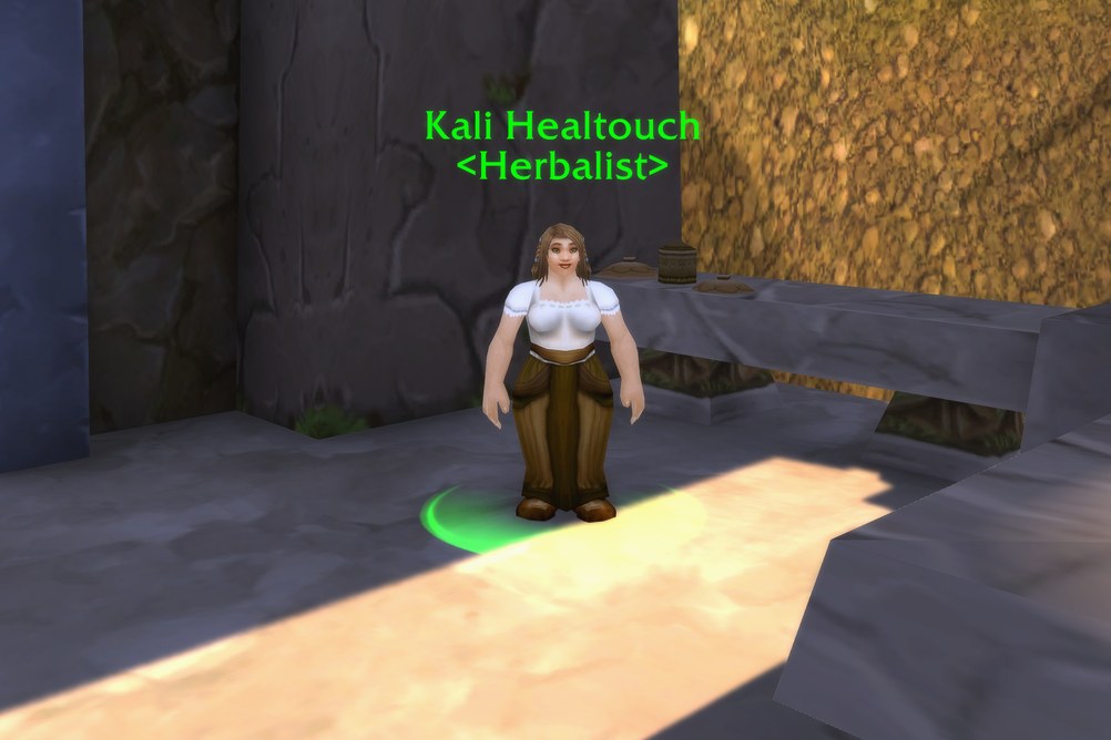 Kali Healtouch, Herbalist in Loch Modan (WoW Forever)