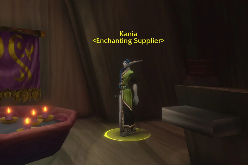 Kania, Enchanting Supplier in Silithus (WoW Forever)