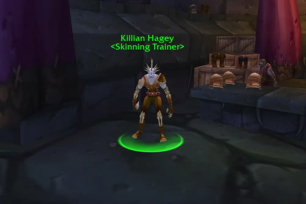 Killian Hagey, Skinning Trainer in Undercity (WoW Forever)