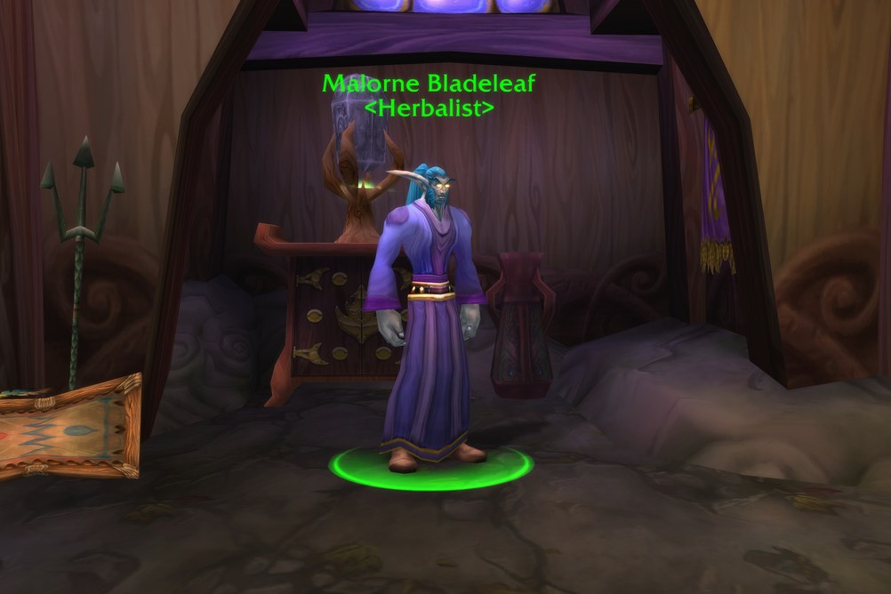 Malorne Bladeleaf, Herbalist in Teldrassil (WoW Forever)