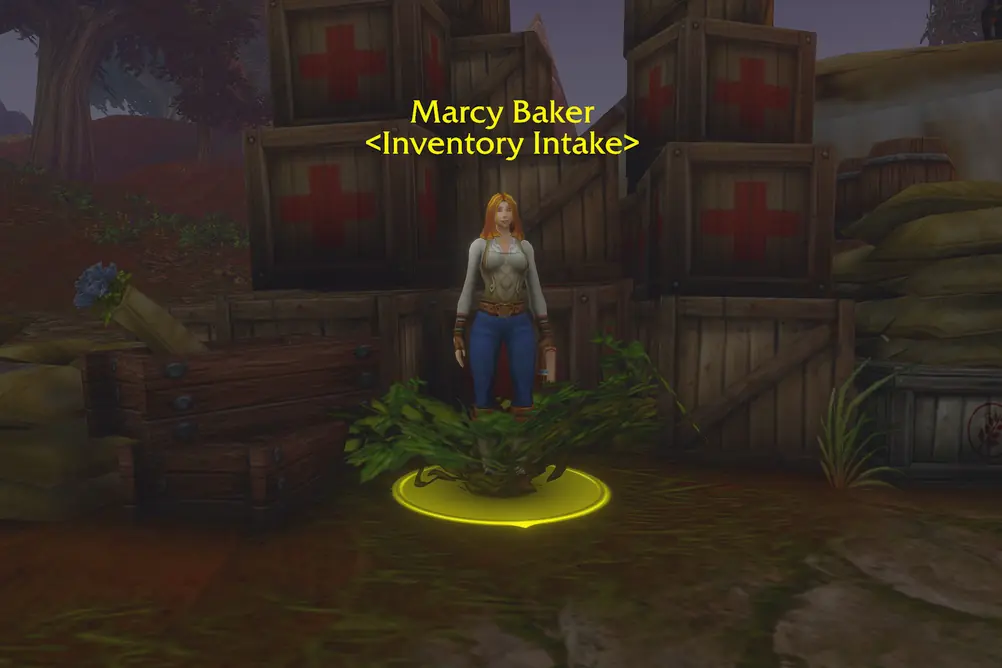 Marcy Baker, Inventory Intake in Redridge Mountains (WoW Forever)