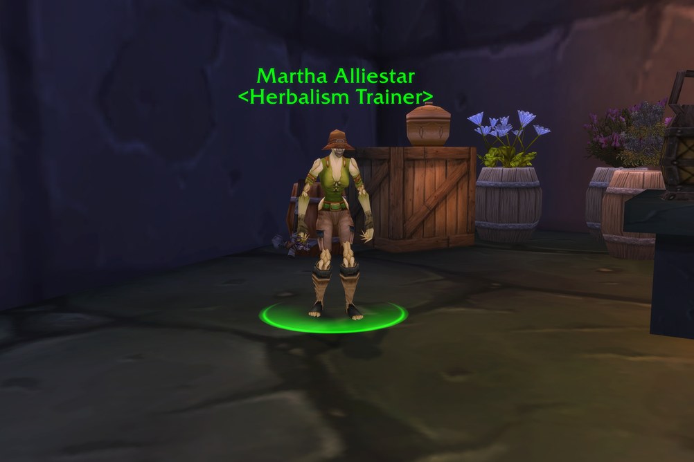 Martha Alliestar, Herbalism Trainer in Undercity (WoW Forever)