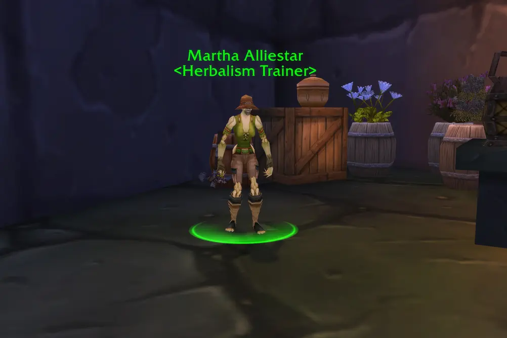 Martha Alliestar, Herbalism Trainer in Undercity (WoW Forever)