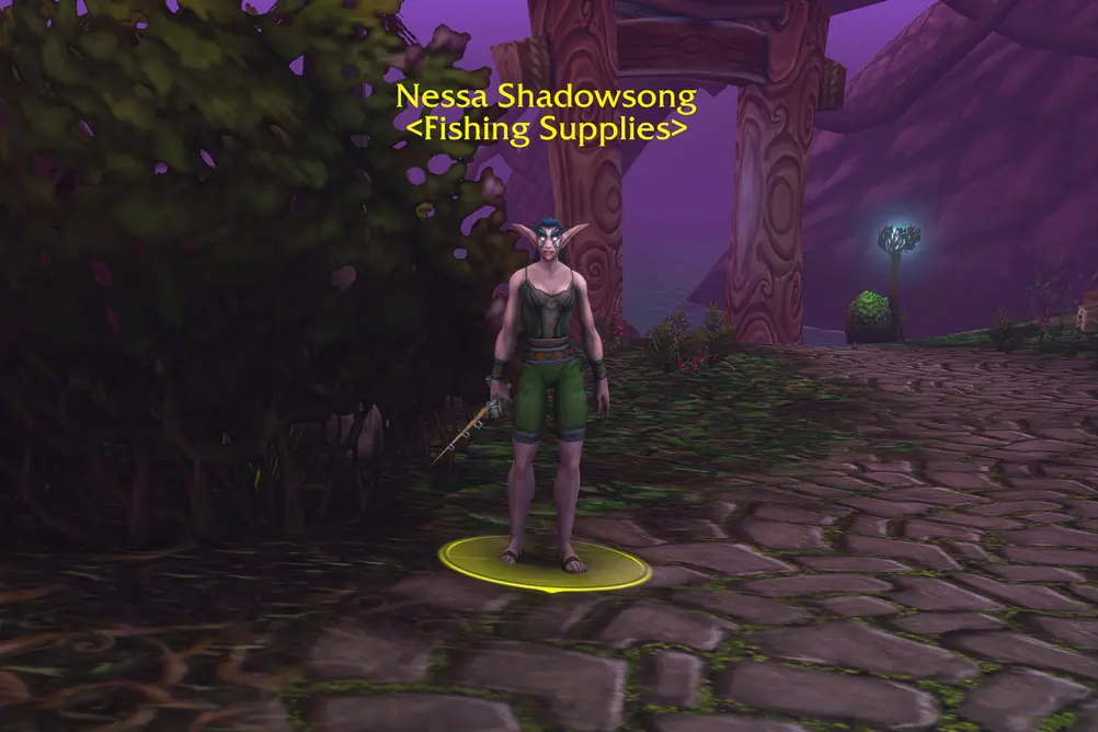 Nessa Shadowsong, Fishing Supplies in Teldrassil (WoW Forever)