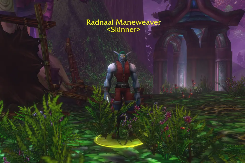 Radnaal Maneweaver, Skinner in Teldrassil (WoW Forever)