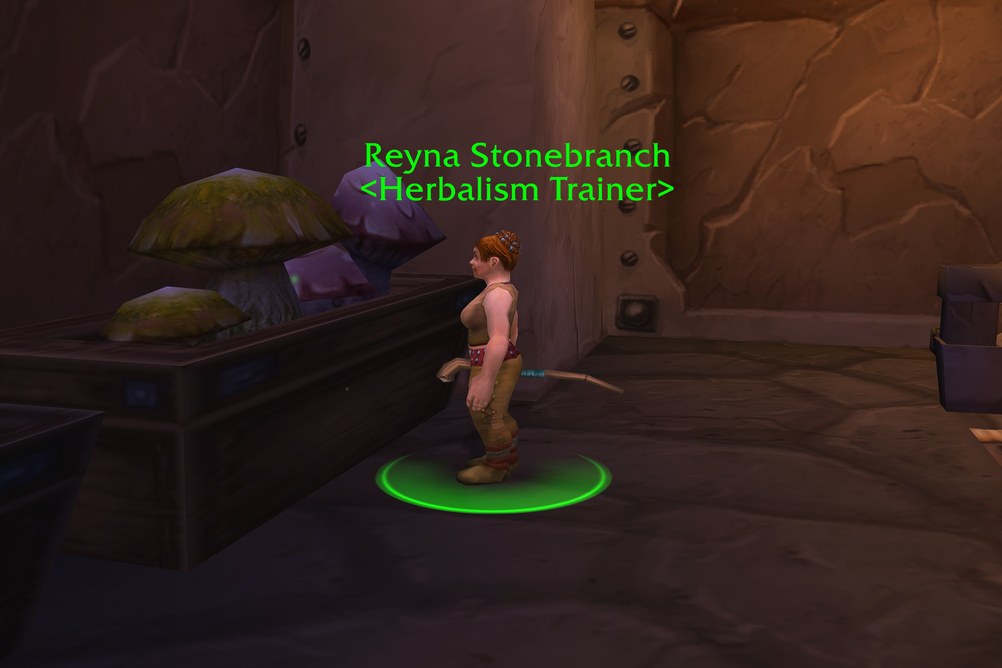 Reyna Stonebranch, Herbalism Trainer in Ironforge (WoW Forever)