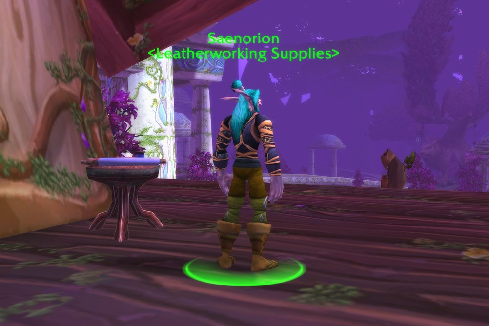 Saenorion, Leatherworking Supplies in Darnassus (WoW Forever)