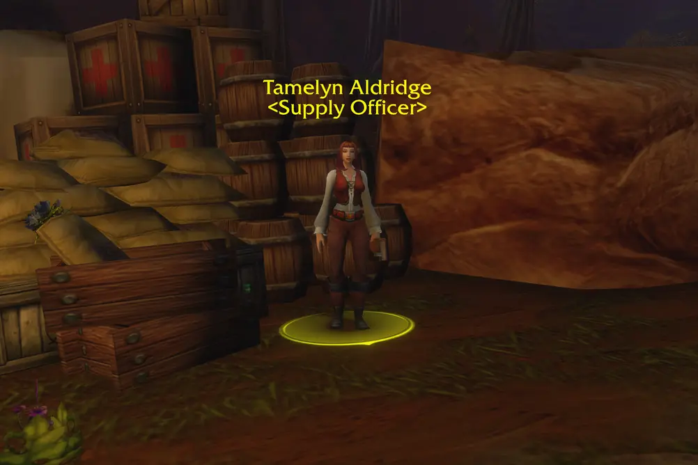 Tamelyn Aldridge, Supply Officer in Redridge Mountains (WoW Forever)