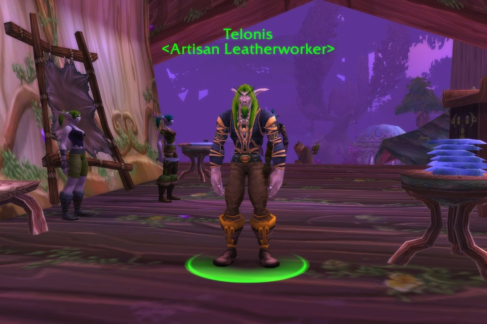 Telonis, Artisan Leatherworker in Darnassus (WoW Forever)