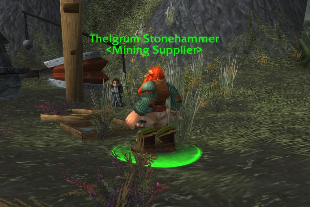 Thelgrum Stonehammer, Mining Supplier in Darkshore (WoW Forever)