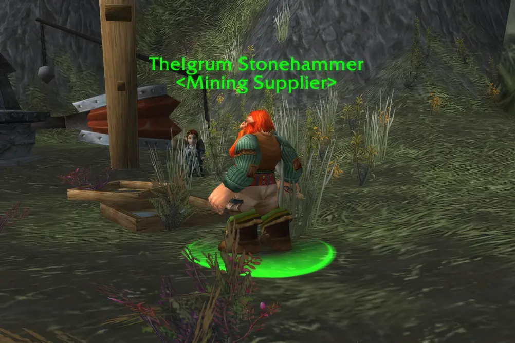 Thelgrum Stonehammer, Mining Supplier in Darkshore (WoW Forever)