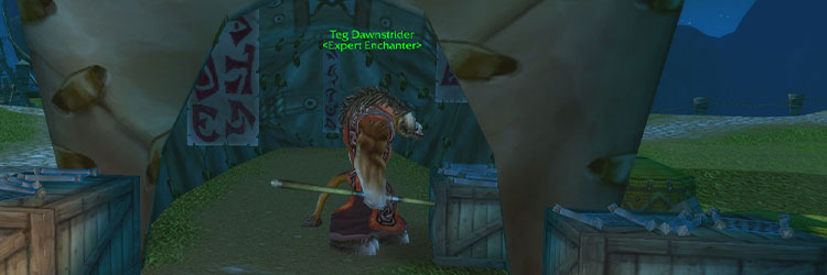 Teg Dawnstrider